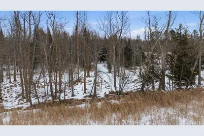 Tbd N Little Turtle Lake Rd, Marcell, MN 56657 - Photo 11