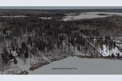 Tbd N Little Turtle Lake Rd, Marcell, MN 56657 - Photo 3