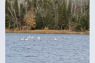 11100 Fisher Lane, Park Rapids, MN 56470 - Photo 33