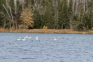 11100 Fisher Ln, Park Rapids, MN 56470 - Photo 33