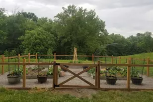 6352 Meridian Ave S, Montrose, MN 55363 - Photo 53