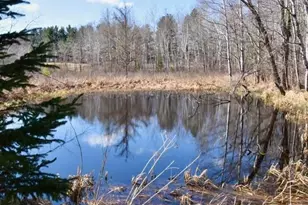 27048 Hawthorn Road N, Hinckley, MN 55037 - Photo 9