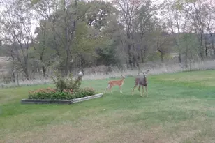 72295 273rd St, Dassel, MN 55325 - Photo 29