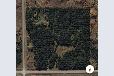 11809 Cr-9, Solway, MN 56678 - Photo 3