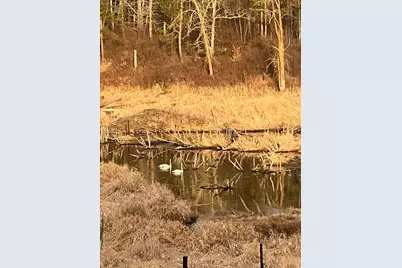 Xxx County Road 134, Pine River, MN 56474 - Photo 17