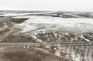 30272 Co Hwy 61, Henning, MN 56551 - Photo 55