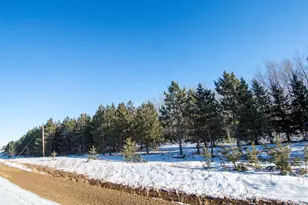 54272 310th St, Deer Creek, MN 56527 - Photo 17