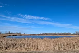 610 Cleveland Ave SW, McIntosh, MN 56556 - Photo 57