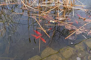 791 Creek Ave, Mendota Heights, MN 55120 - Photo 51