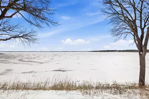 7711 N Shore Dr, Spicer, MN 56288 - Photo 3