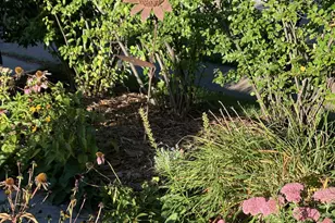 100 W 40th St, Minneapolis, MN 55409 - Photo 25