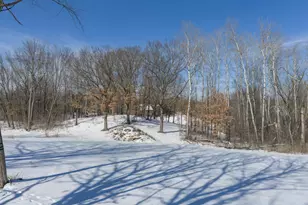 20801 Fern Dr, Lakeville, MN 55044 - Photo 51