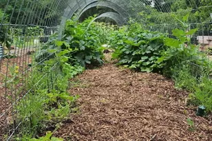 15123 Fox St NW, Andover, MN 55304 - Photo 55