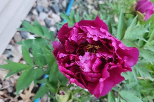 15123 Fox St NW, Andover, MN 55304 - Photo 59