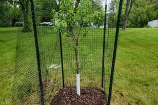 15123 Fox St NW, Andover, MN 55304 - Photo 61