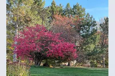 1437 Schooner Way, Woodbury, MN 55125 - Photo 53