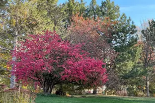 1437 Schooner Way, Woodbury, MN 55125 - Photo 53