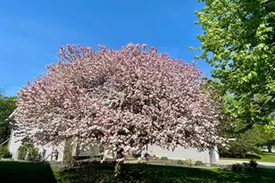 1437 Schooner Way, Woodbury, MN 55125 - Photo 47