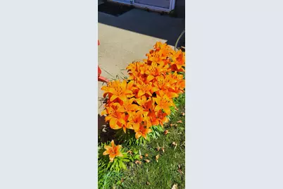 2271 Highway 27 E #7, Osakis, MN 56360 - Photo 7