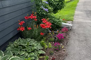 816 Hickory Ln, Mantorville, MN 55955 - Photo 55