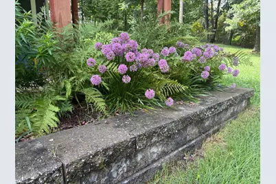 816 Hickory Lane, Mantorville, MN 55955 - Photo 53