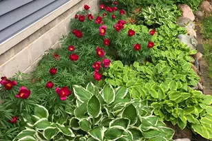 5600 Lindsay St, Golden Valley, MN 55422 - Photo 45