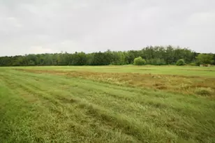 16050 280th St, Sebeka, MN 56477 - Photo 41