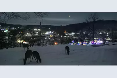 202 Ridgeview Lane S, Lanesboro, MN 55949 - Photo 33