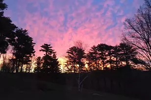 202 Ridgeview Ln S, Lanesboro, MN 55949 - Photo 27