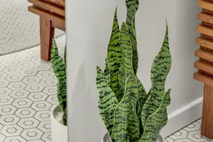 1751 Juliet Ave, Saint Paul, MN 55105 - Photo 23