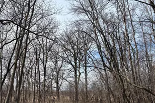 32126 Hornsby St NE, North Branch, MN 55056 - Photo 109