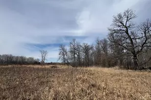 32126 Hornsby St NE, North Branch, MN 55056 - Photo 107