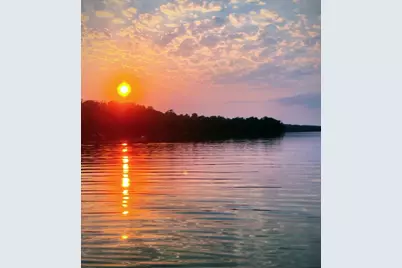 Tbd 330th Avenue, Rochert, MN 56578 - Photo 5