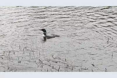 Tbd 330th Avenue, Rochert, MN 56578 - Photo 11