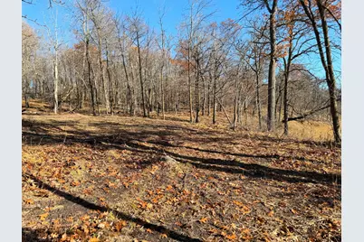 Tbd 330th Avenue, Rochert, MN 56578 - Photo 7