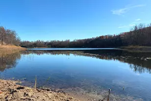 Tbd 330th Ave, Rochert, MN 56578 - Photo 1