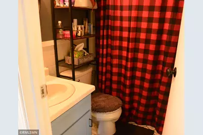 17172 220th Street, Hutchinson, MN 55350 - Photo 29