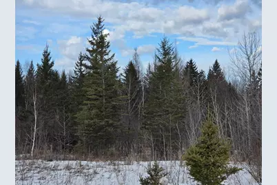 Tbd Three Mile Road NE, Blackduck, MN 56630 - Photo 3