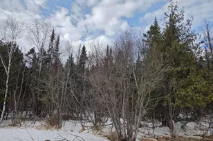 Tbd Three Mile Road NE, Blackduck, MN 56630 - Photo 1