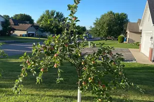 1271 Stone Ridge Rd, Sauk Rapids, MN 56379 - Photo 33