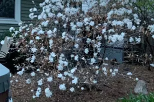 6933 1st Ave S, Richfield, MN 55423 - Photo 37