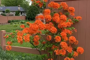 6933 1st Ave S, Richfield, MN 55423 - Photo 35