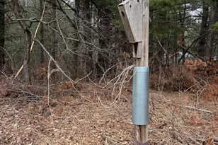 651 196th Ave, Somerset, WI 54025 - Photo 35