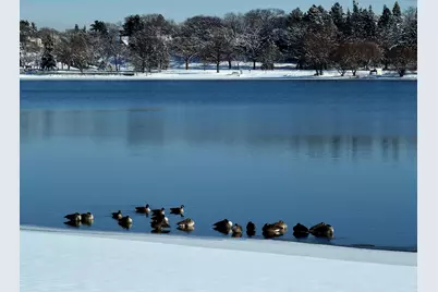 5000 17th Avenue S, Minneapolis, MN 55417 - Photo 35