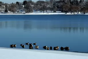 5000 17th Ave S, Minneapolis, MN 55417 - Photo 35