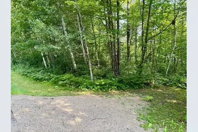 Lot 7 Block 1 Yellow Birch Ln, Emily, MN 56447 - Photo 3