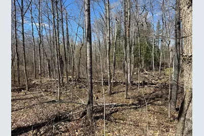 Lot 7 Block 1 Yellow Birch Ln, Emily, MN 56447 - Photo 9
