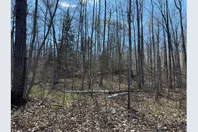 Lot 7 Block 1 Yellow Birch Ln, Emily, MN 56447 - Photo 11