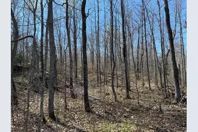 Lot 7 Block 1 Yellow Birch Ln, Emily, MN 56447 - Photo 7