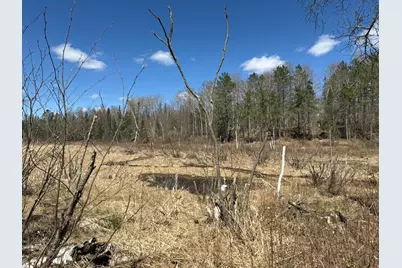 Lot 7 Block 1 Yellow Birch Ln, Emily, MN 56447 - Photo 3